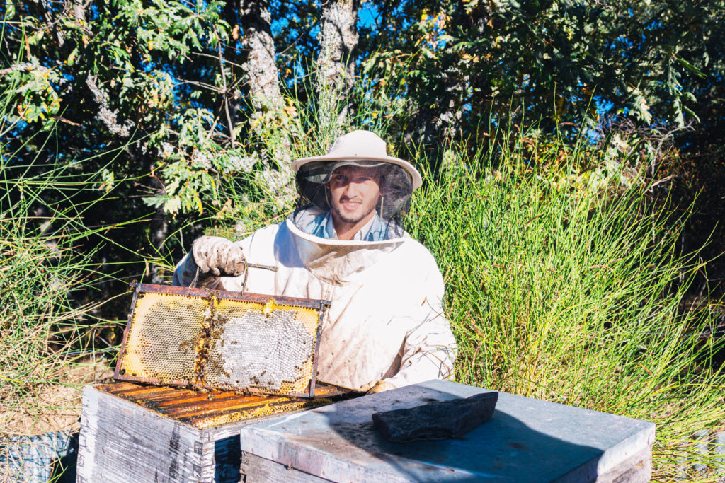 Beekeeper showing a honeycomb