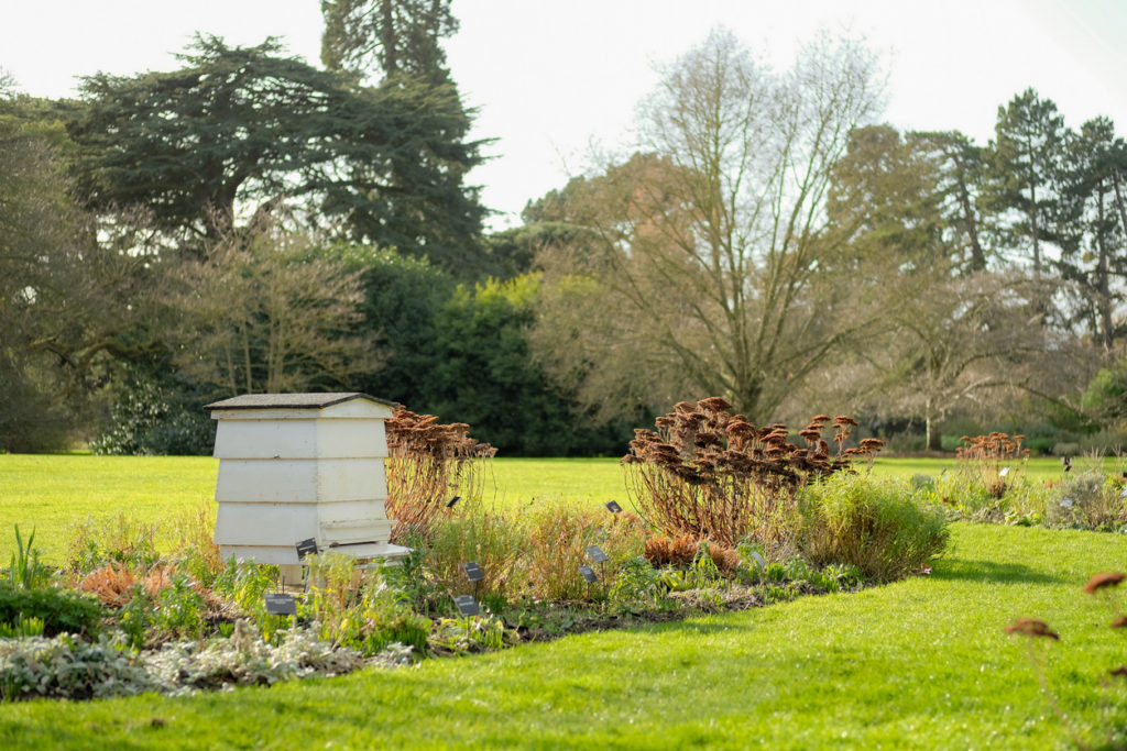 Large wooden Beehive