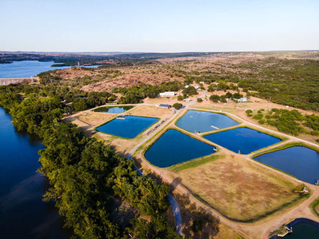 Fish Farming