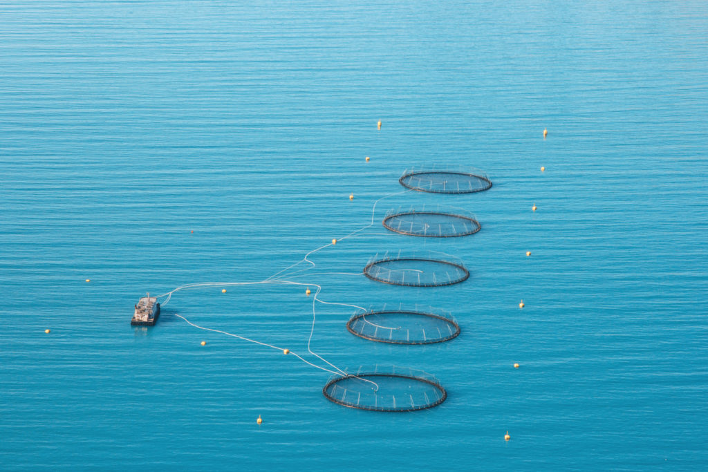 Fish farming in Norway