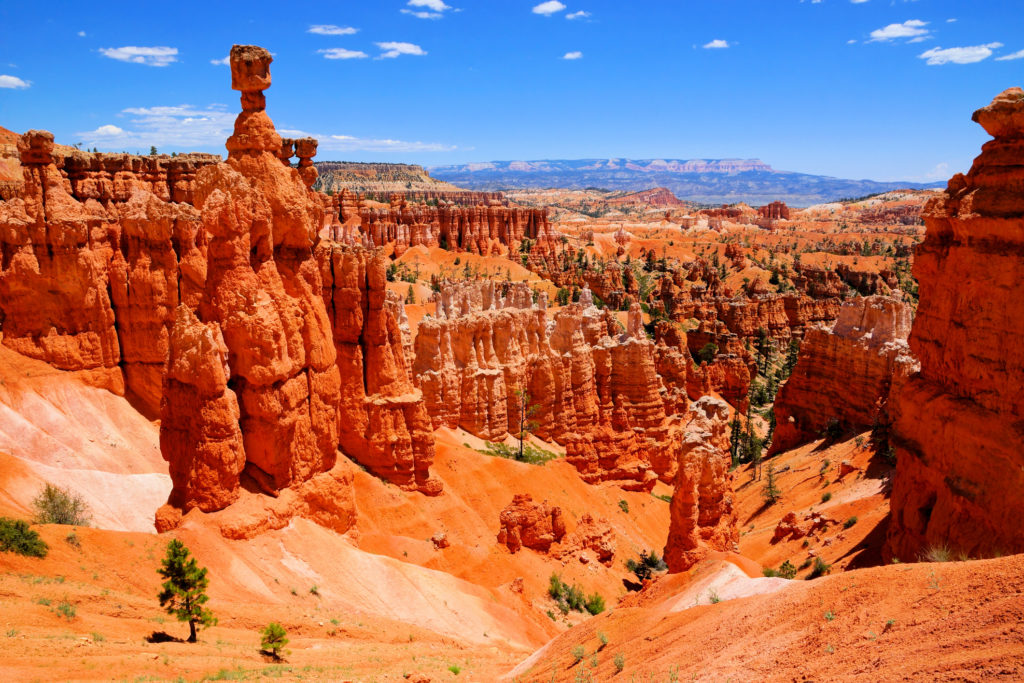 Bryce canyon