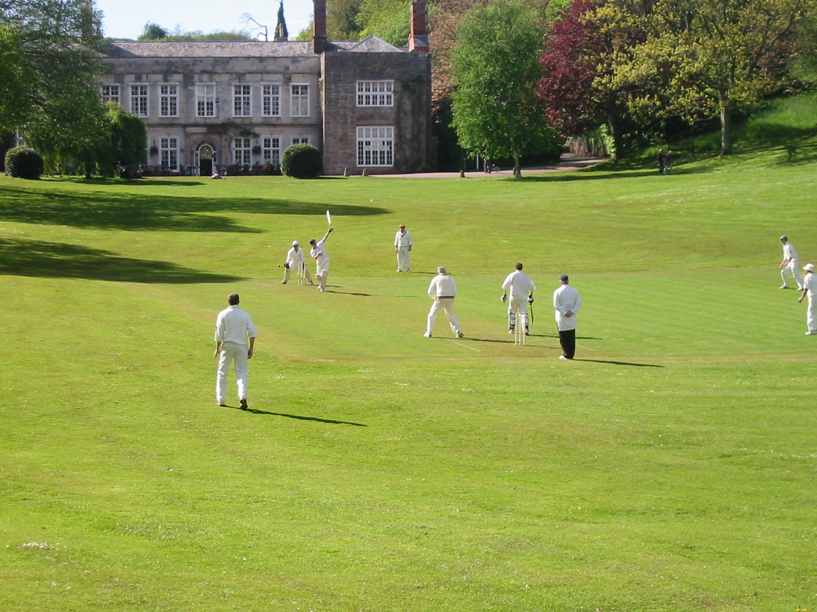 Village Cricket