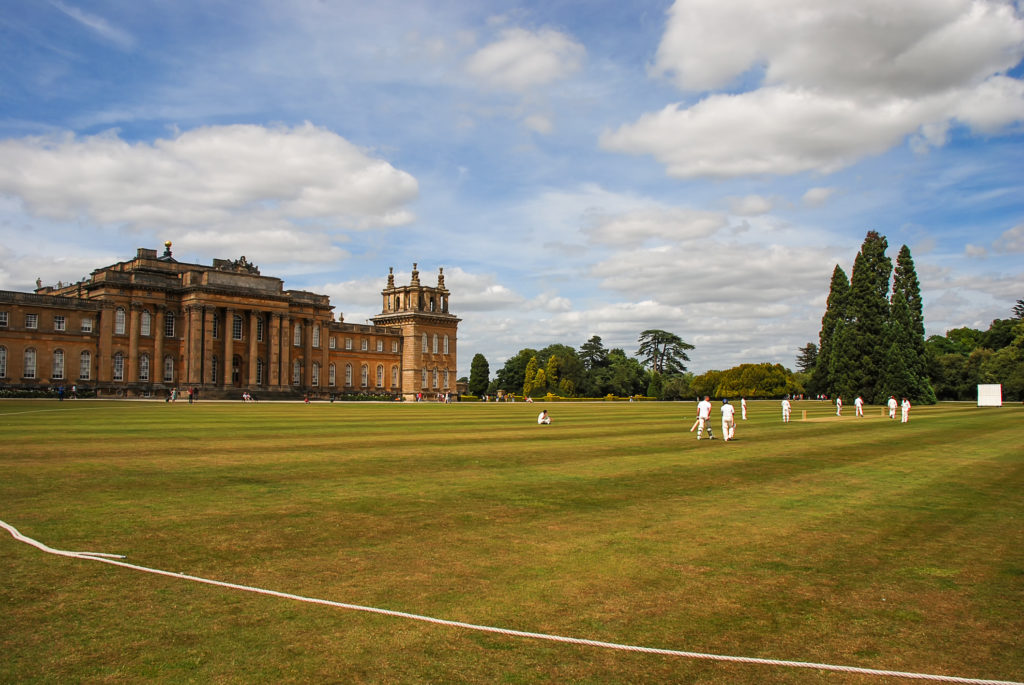 Village cricket in the summer