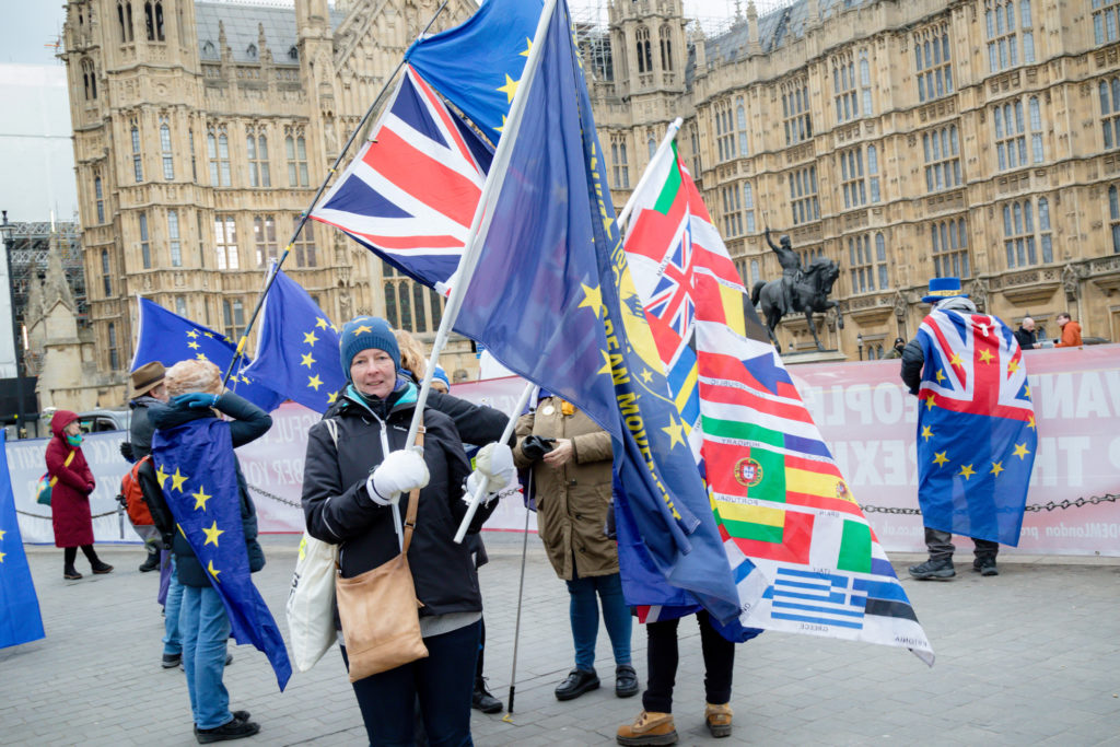 Rejoin the EU protesters outside the Houses of Parliament