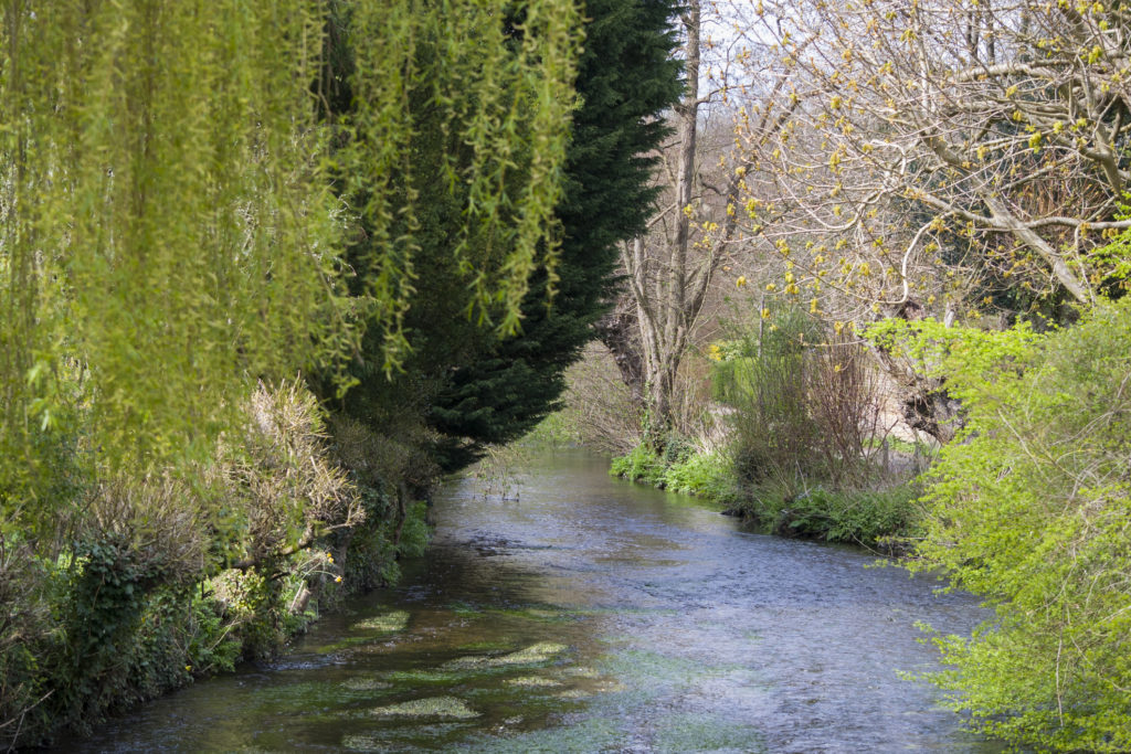 Chalk Stream River in Kent