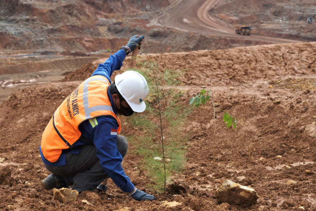 Reforestation in Indonesia