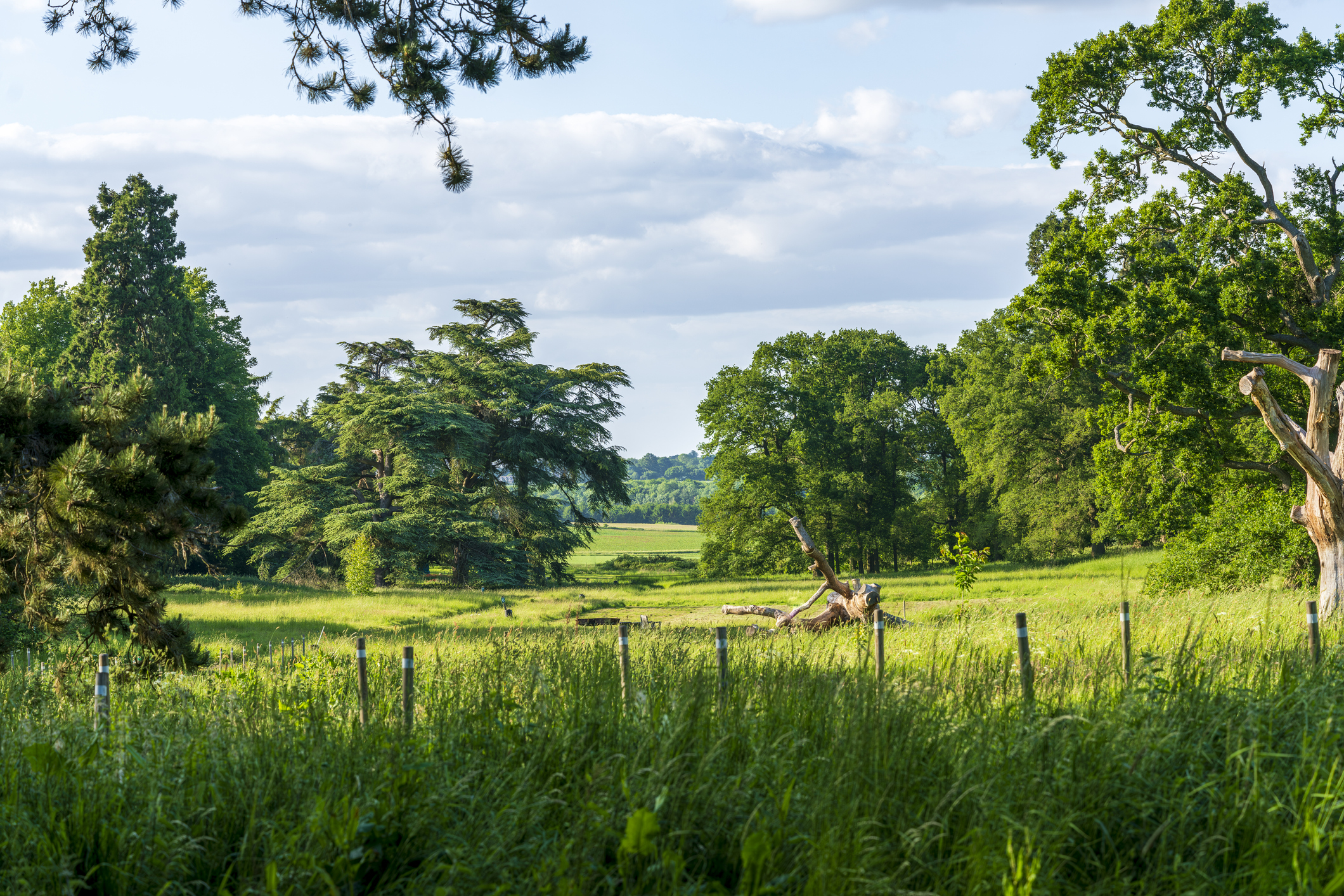 The English Countryside