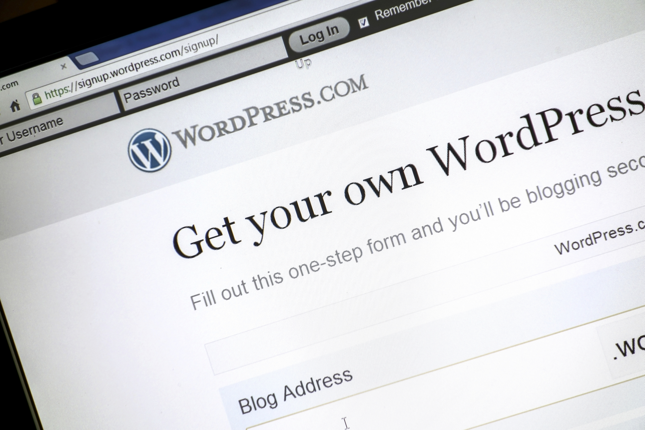 WordPress - Entrepreneurial Pathway