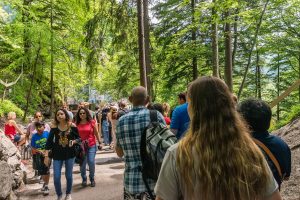 When Tourism Tips the Balance